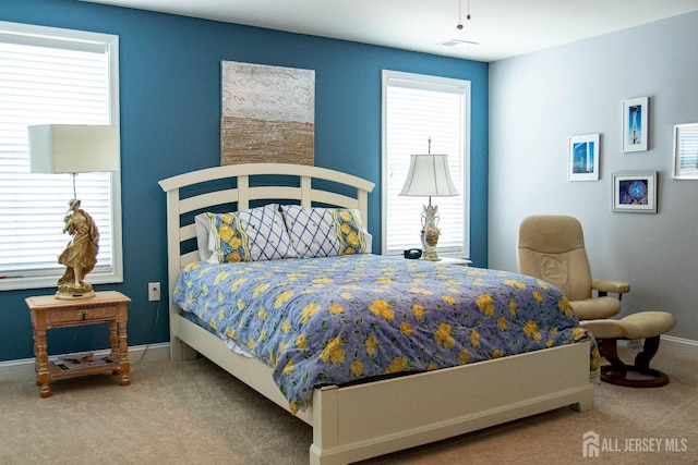 53 Mandrake Rd, Monroe, NJ 08831 - bedroom with carpet flooring, multiple windows, and baseboards
