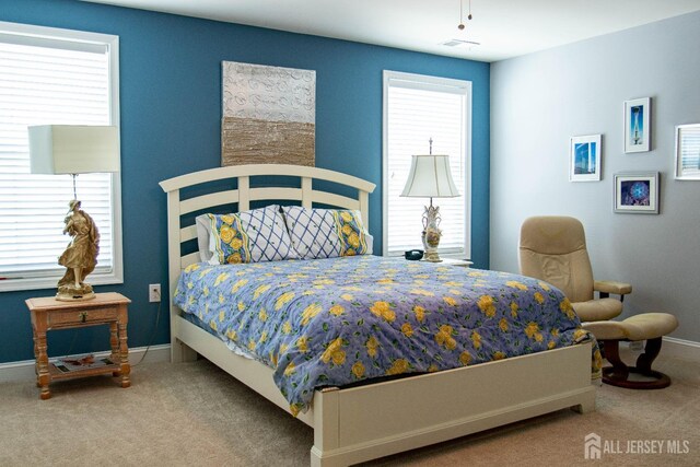 53 Mandrake Rd, Monroe, NJ 08831 - carpeted bedroom featuring multiple windows