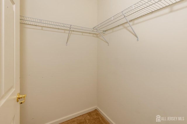 spacious closet featuring carpet floors