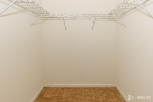 walk in closet featuring light colored carpet
