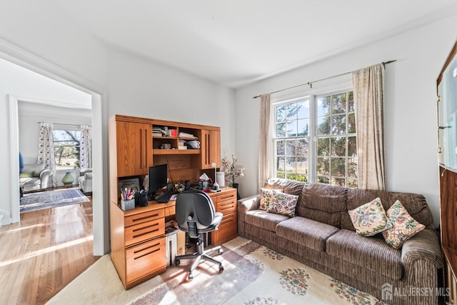 office with light wood finished floors