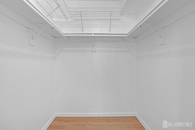 spacious closet featuring light wood-type flooring