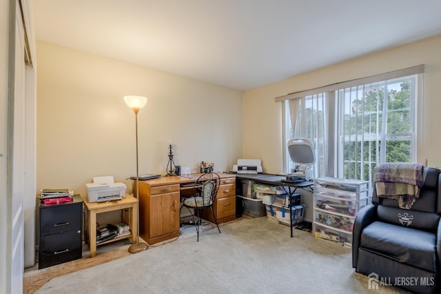 250 Whittier Ave, Dunellen, NJ 08812 - photo 18