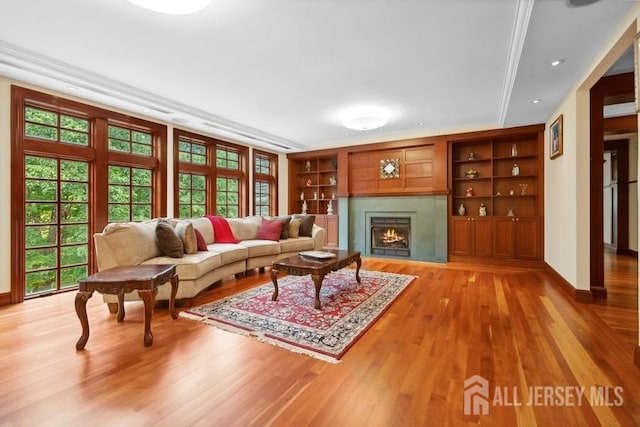 living room featuring light hardwood / wood-style floors and a premium fireplace