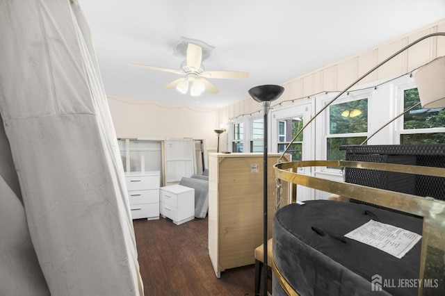 bedroom featuring wood finished floors and multiple windows