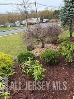 150 School St, Piscataway, NJ 08878 - view of yard
