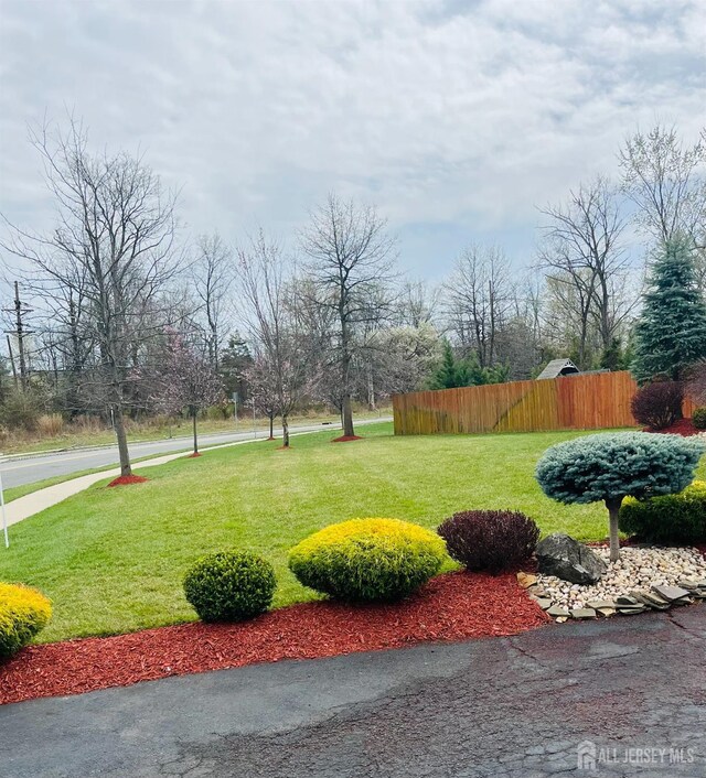 150 School St, Piscataway, NJ 08878 - view of yard