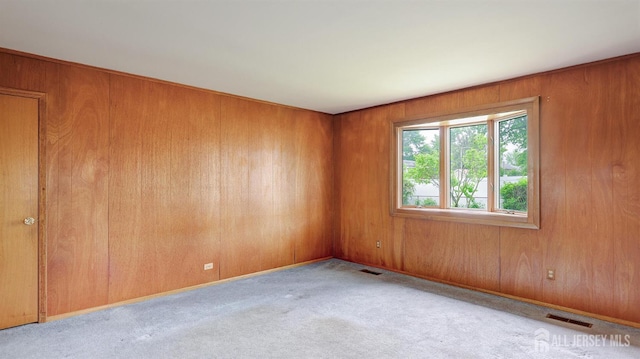 spare room with wood walls and carpet floors