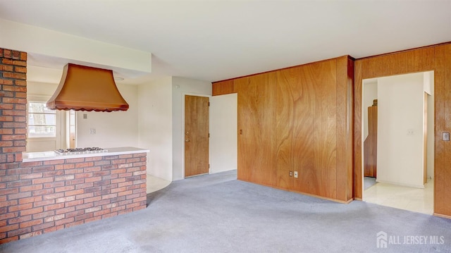 unfurnished living room featuring carpet