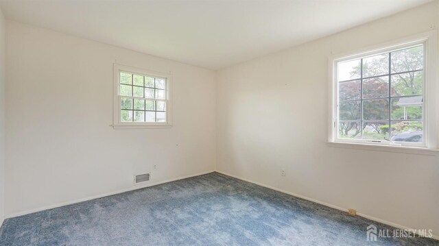 123 Summers Ave, Piscataway, NJ 08854 - photo 24