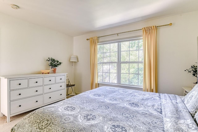6 Ivy Ter, East Brunswick, NJ 08816 - photo 21