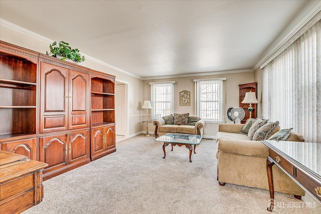 36 Concord Ln Unit B, Monroe, NJ 08831 - photo 7