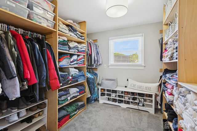 3223 Banta Rd, South Plainfield, NJ 07080 - spacious closet featuring carpet