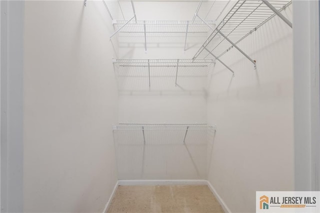 1410 Colts Cir, Lawrence, NJ 08648 - view of walk in closet