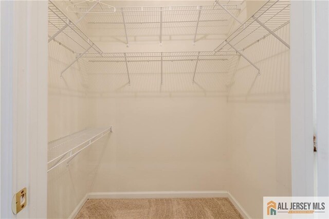 1410 Colts Cir, Lawrence, NJ 08648 - spacious closet with carpet flooring