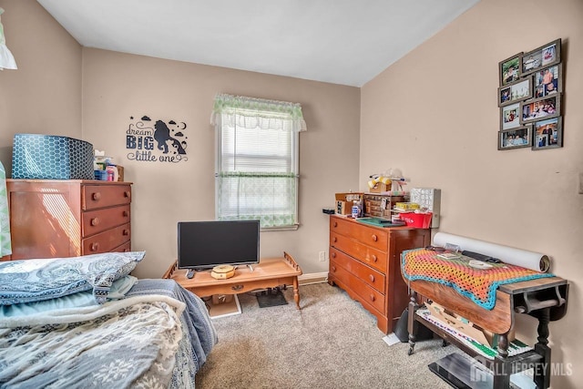 29 Pulawski Ave, South River, NJ 08882 - view of carpeted bedroom