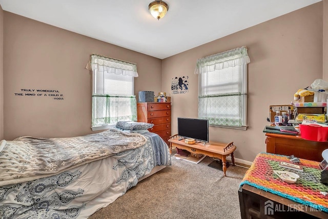 29 Pulawski Ave, South River, NJ 08882 - carpeted bedroom featuring multiple windows