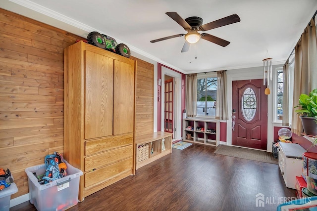 foyer with ornamental molding, healthy amount of natural light, wood finished floors, ceiling fan, and wood walls
