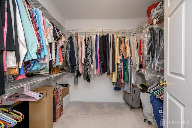 spacious closet with carpet floors