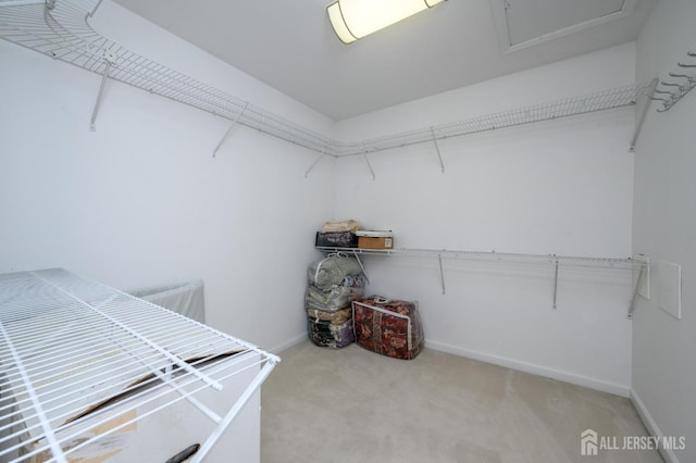 spacious closet featuring light carpet and attic access