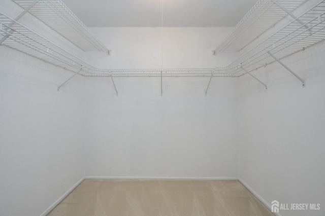 spacious closet with light colored carpet