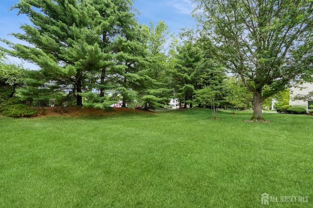 391 Danbury Ln, East Brunswick, NJ 08816 - photo 6