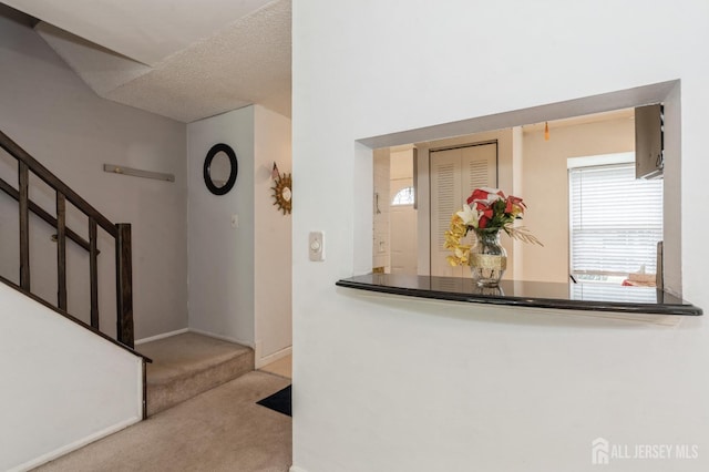 391 Danbury Ln, East Brunswick, NJ 08816 - photo 11