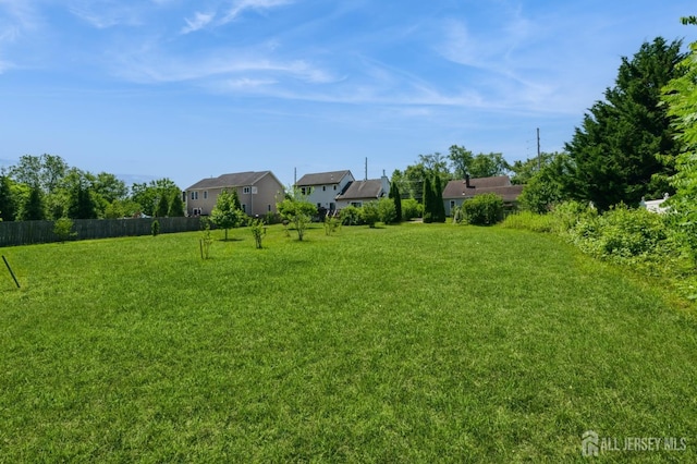 17 New Brunswick Ave, Matawan, NJ 07747 - view of yard