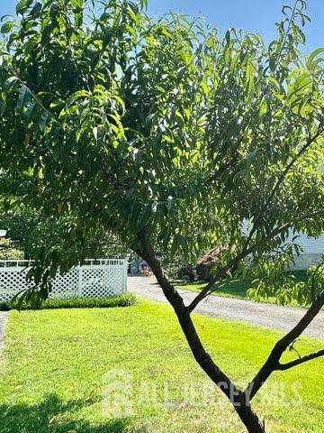 383 S Stump Tavern Rd S, Jackson, NJ 08527 - view of yard