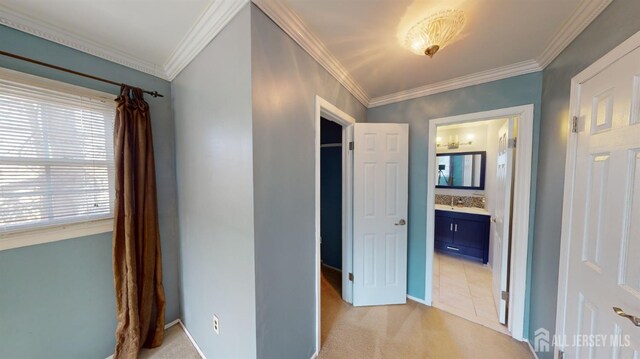 hallway with ornamental molding, light carpet, and sink