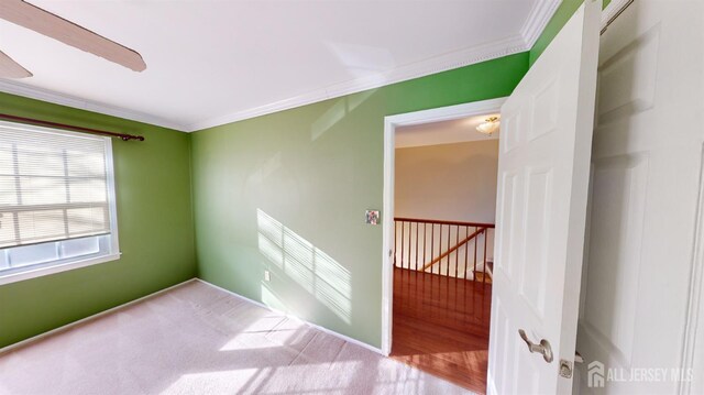 spare room featuring light colored carpet and ornamental molding