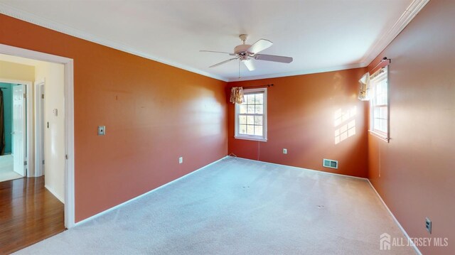 empty room with ornamental molding, ceiling fan, a wealth of natural light, and carpet floors