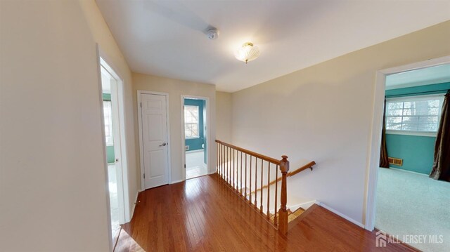 hall with hardwood / wood-style flooring