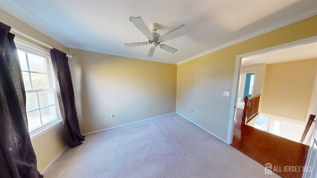 unfurnished room featuring ornamental molding, ceiling fan, and light carpet