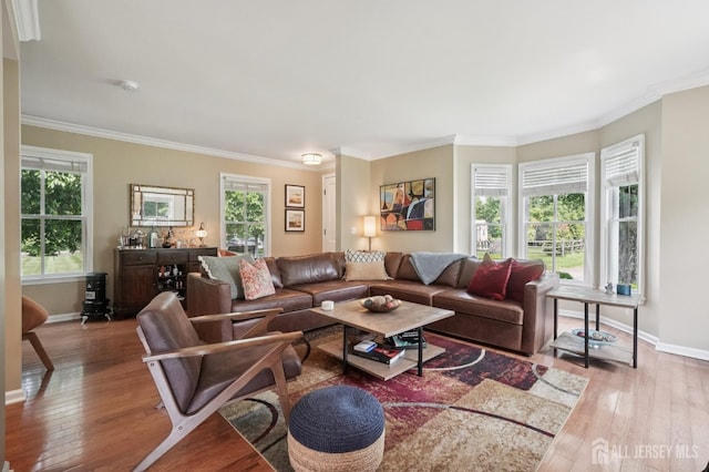 6 Greenwood Ave, South Brunswick, NJ 08852 - photo 12