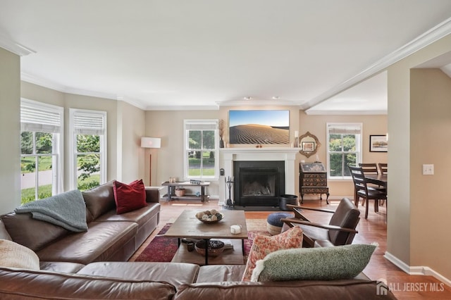 6 Greenwood Ave, South Brunswick, NJ 08852 - photo 9
