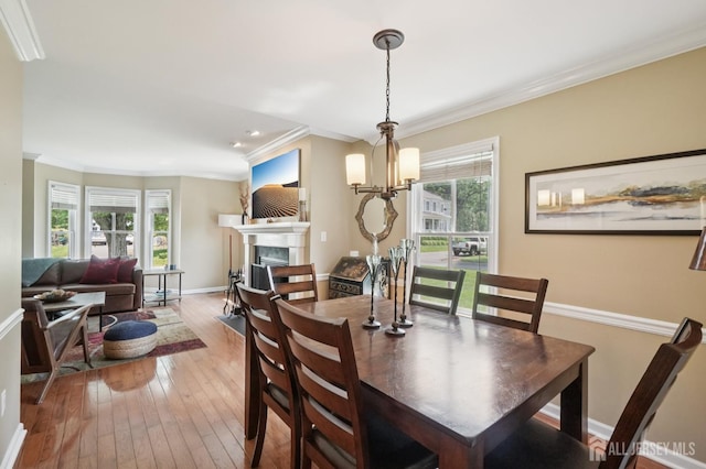 6 Greenwood Ave, South Brunswick, NJ 08852 - photo 19