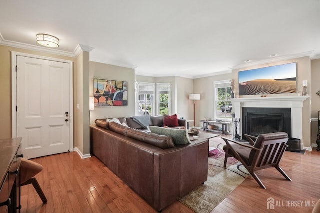 6 Greenwood Ave, South Brunswick, NJ 08852 - photo 11