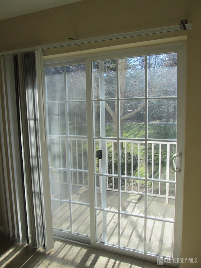 101 Liddle Ave, Edison, NJ 08837 - doorway with plenty of natural light