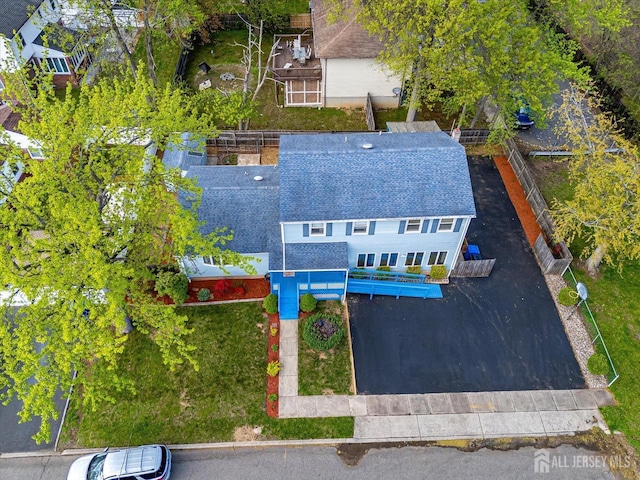 bird's eye view
