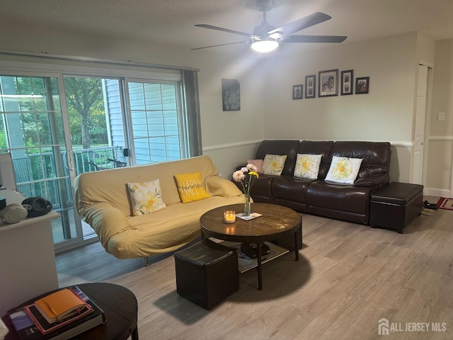 167 Rachel Ct, Franklin Twsp, NJ 08823 - living area with ceiling fan and light wood finished floors