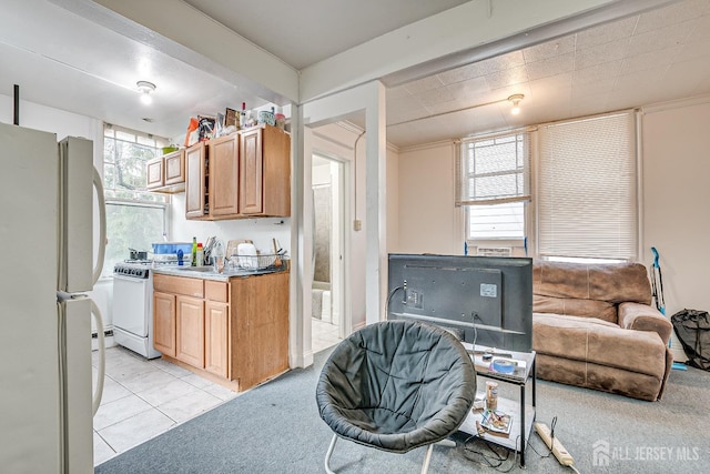 kitchen featuring sink, light colored carpet, and white appliances