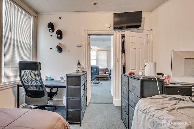 carpeted bedroom with crown molding