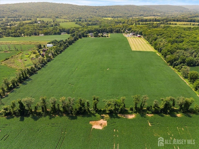 bird's eye view with a rural view