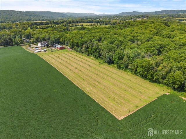 159 Bryans Rd, Washington Twp, NJ 08827 - overview of rural landscape featuring a heavily wooded area and mountains