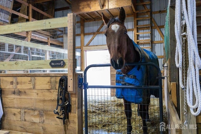 view of horse barn