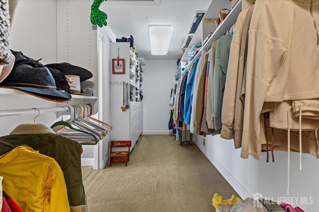 spacious closet with carpet