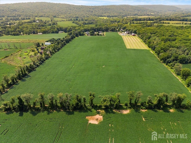 159 Bryans Rd, Washington Twp, NJ 08827 - aerial view of property and surrounding area featuring rural landscape and rows of crops