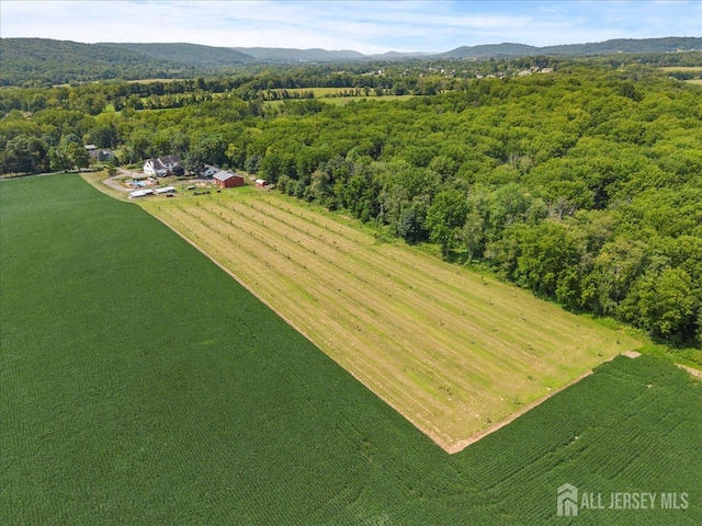 bird's eye view with a rural view, a mountain view, and a view of trees