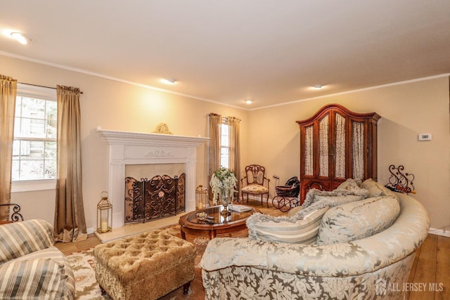 17 Morningside Dr, Old Bridge, NJ 08857 - living room with crown molding, baseboards, a fireplace with raised hearth, and wood finished floors